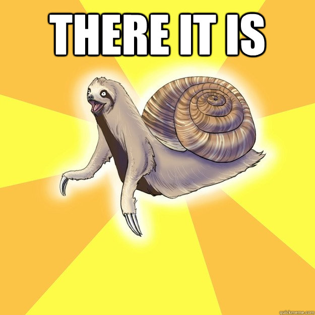 THERE IT IS  - THERE IT IS   Slow Snail-Sloth