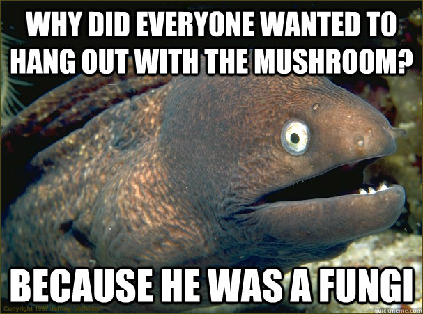 Why did everyone wanted to hang out with the mushroom? because he was a fungi  Bad Joke Eel