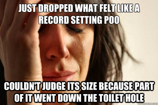 Just dropped what felt like a record setting poo couldn't judge its size because part of it went down the toilet hole  First World Problems