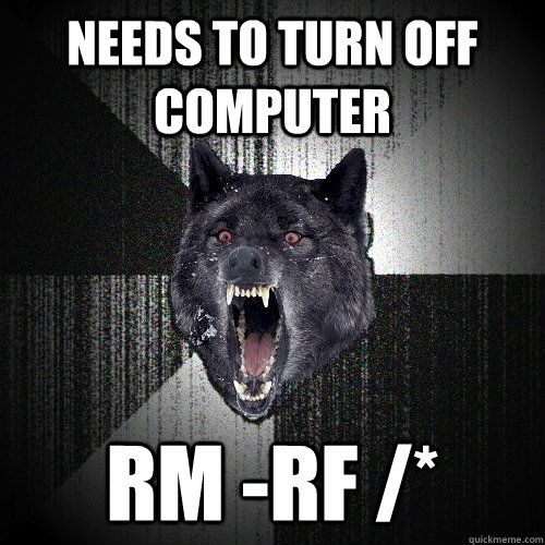 Needs to turn off computer rm -rf /*  Insanity Wolf