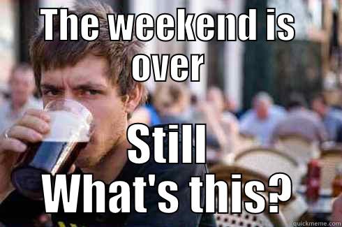 Weekend is over - THE WEEKEND IS OVER STILL WHAT'S THIS? Lazy College Senior