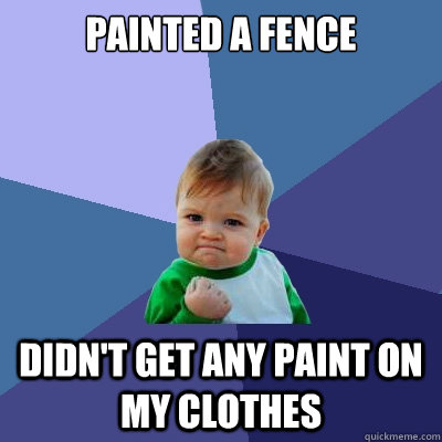 painted a fence didn't get any paint on my clothes  Success Kid