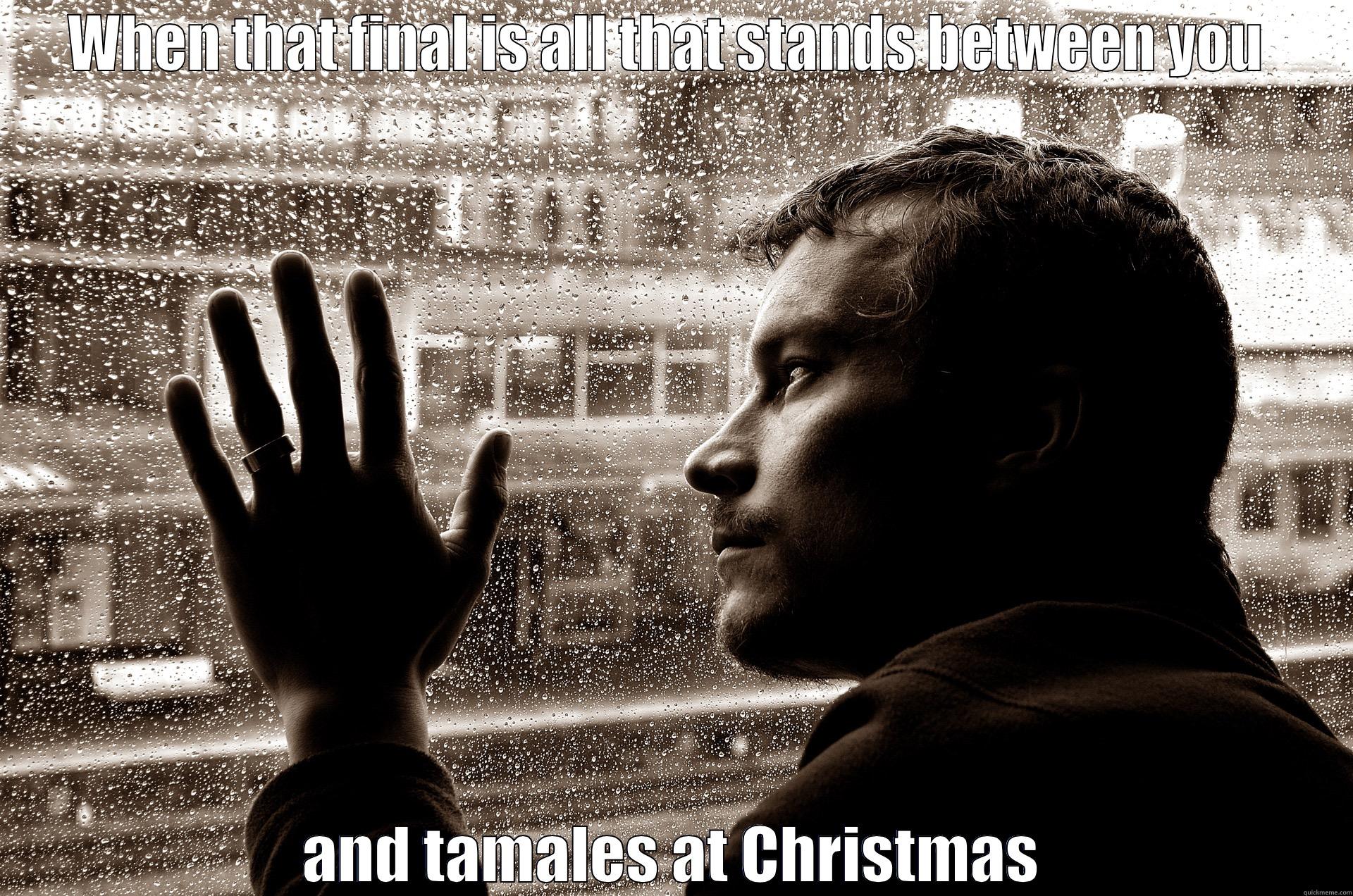 Christmas Break - WHEN THAT FINAL IS ALL THAT STANDS BETWEEN YOU  AND TAMALES AT CHRISTMAS Misc