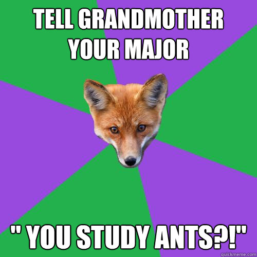 Tell Grandmother your major 