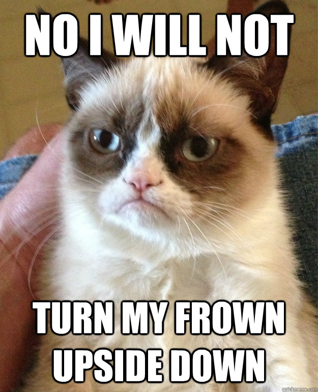 NO I will not  turn my frown upside down  Grumpy Cat