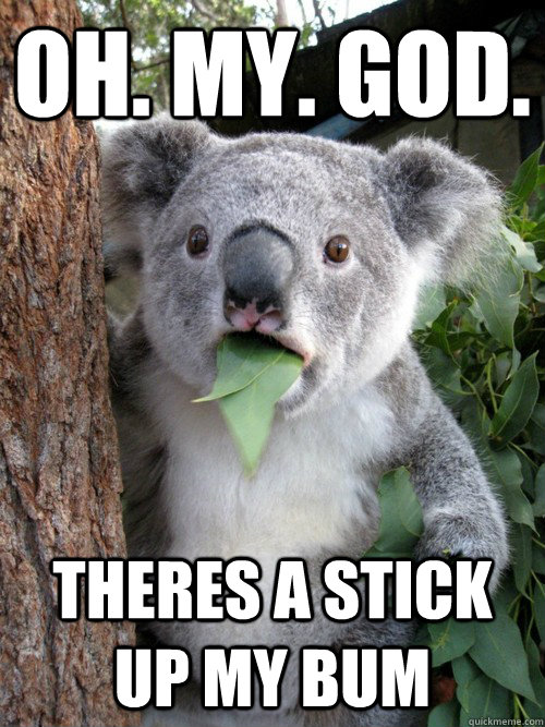 OH. MY. GOD. theres a stick up my bum  koala bear