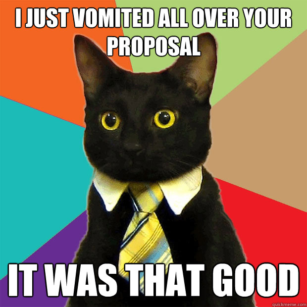 i just vomited all over your proposal it was that good  Business Cat