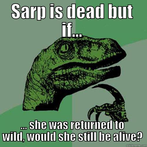 SARP IS DEAD BUT IF... ... SHE WAS RETURNED TO WILD, WOULD SHE STILL BE ALIVE? Philosoraptor