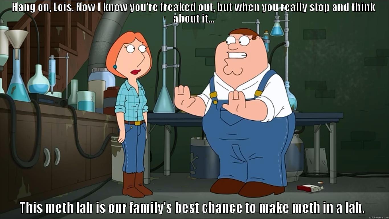 peter meth - HANG ON, LOIS. NOW I KNOW YOU'RE FREAKED OUT, BUT WHEN YOU REALLY STOP AND THINK ABOUT IT... THIS METH LAB IS OUR FAMILY'S BEST CHANCE TO MAKE METH IN A LAB.  Misc