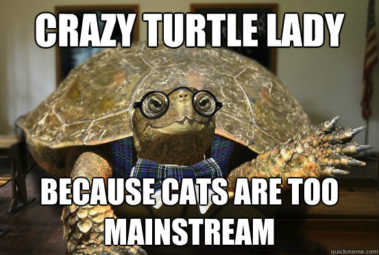 crazy turtle lady because cats are too mainstream  Professor Turtle