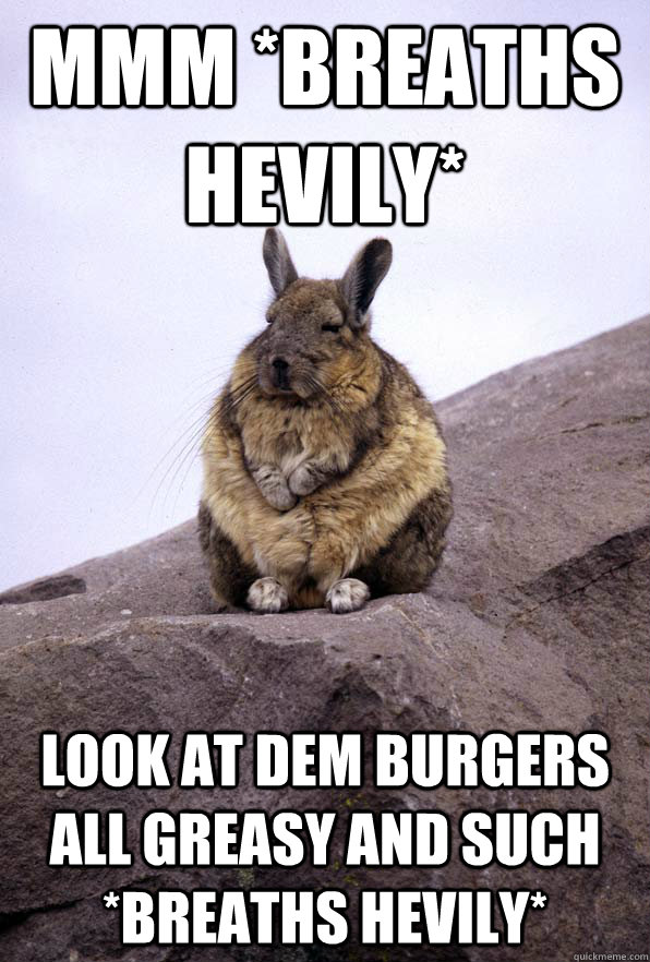 mmm *breaths hevily* look at dem burgers all greasy and such *breaths hevily*  Wise Wondering Viscacha