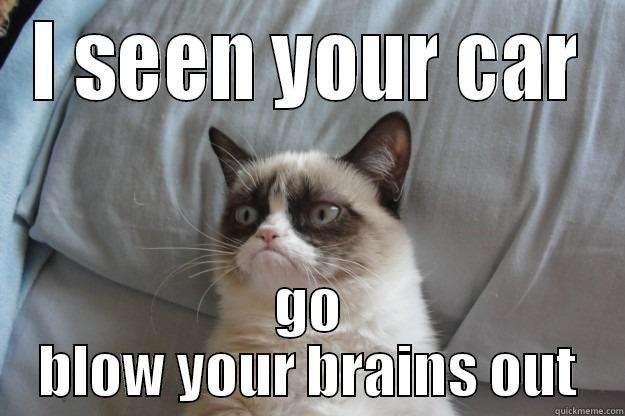 I SEEN YOUR CAR GO BLOW YOUR BRAINS OUT Grumpy Cat