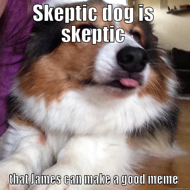 Skeptic Dog - SKEPTIC DOG IS SKEPTIC THAT JAMES CAN MAKE A GOOD MEME Misc