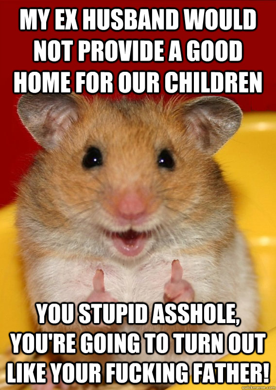 My ex husband would not provide a good home for our children You stupid asshole, you're going to turn out like your fucking father!   Rationalization Hamster