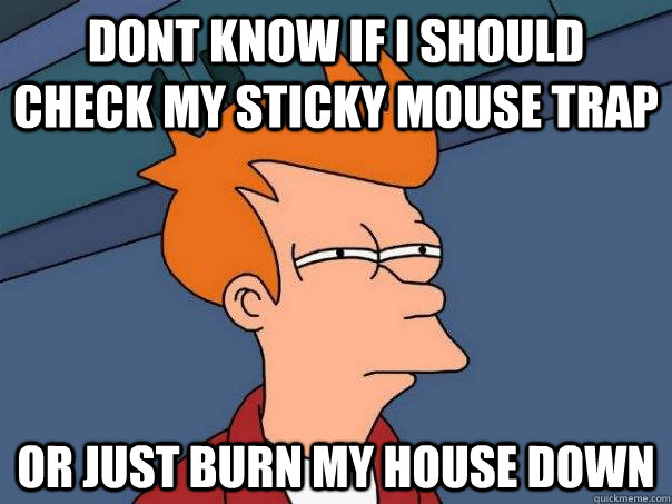 Dont know if i should check my sticky mouse trap or just burn my house down  Futurama Fry