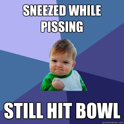 sneezed while pissing Still hit bowl  Success Kid