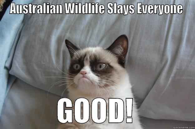 AUSTRALIAN WILDLIFE SLAYS EVERYONE GOOD! Grumpy Cat