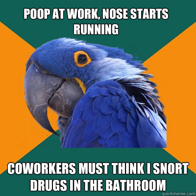 poop at work, nose starts running coworkers must think i snort drugs in the bathroom - poop at work, nose starts running coworkers must think i snort drugs in the bathroom  Paranoid Parrot