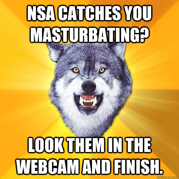 NSA catches you masturbating? look them in the webcam and finish.  Courage Wolf