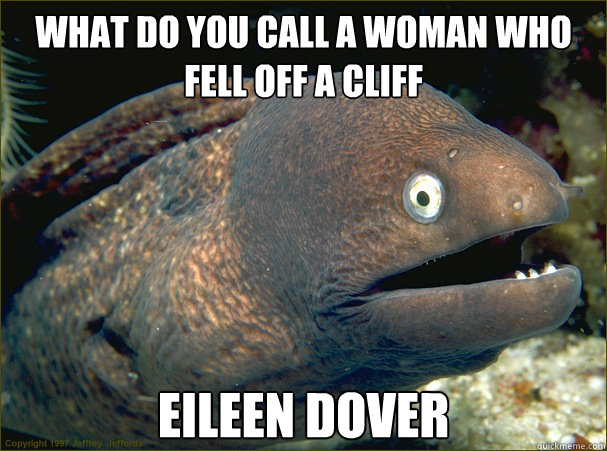 What do you call a woman who fell off a Cliff Eileen dover  Bad Joke Eel