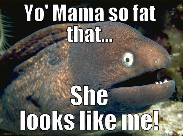 Eals can curse! - YO' MAMA SO FAT THAT... SHE LOOKS LIKE ME! Bad Joke Eel