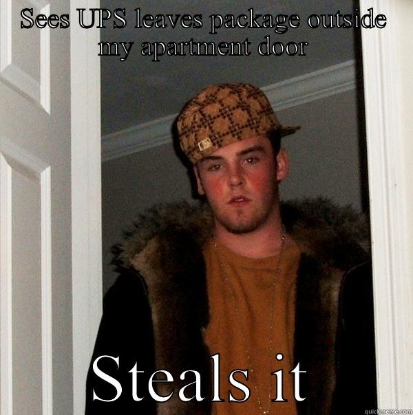 SEES UPS LEAVES PACKAGE OUTSIDE MY APARTMENT DOOR STEALS IT Scumbag Steve