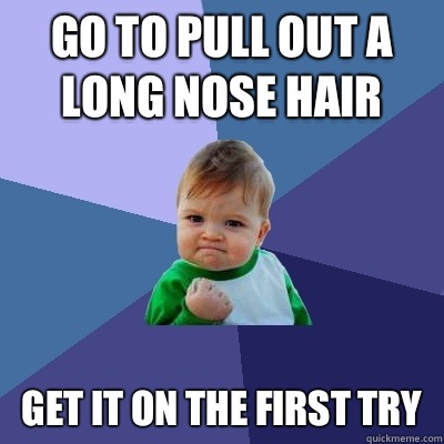 Go to pull out a long nose hair Get it on the first try  Success Kid