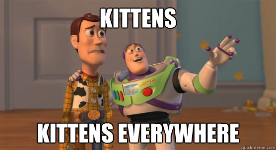 kittens kittens everywhere  Toy Story Everywhere