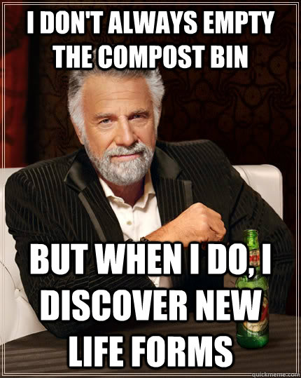 I don't always empty the compost bin but when I do, I discover new life forms  The Most Interesting Man In The World