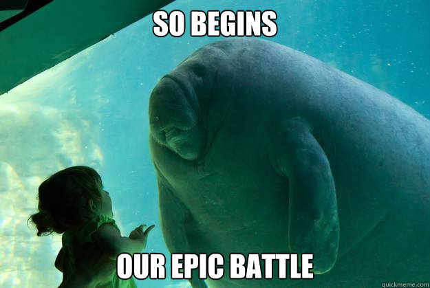 so begins our epic battle Caption 3 goes here  Overlord Manatee