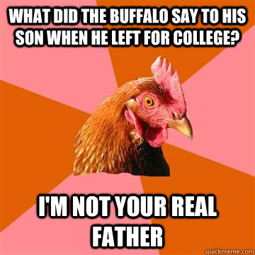 what did the buffalo say to his son when he left for college? i'm not your real father - what did the buffalo say to his son when he left for college? i'm not your real father  Anti-Joke Chicken