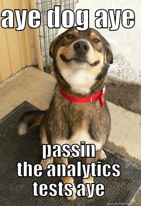 aye dog aye - AYE DOG AYE  PASSIN THE ANALYTICS TESTS AYE Good Dog Greg