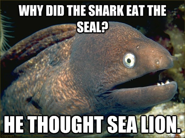 Why did the shark eat the seal? He thought sea lion. - Why did the shark eat the seal? He thought sea lion.  Bad Joke Eel