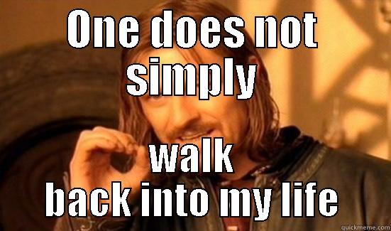 ONE DOES NOT SIMPLY WALK BACK INTO MY LIFE Boromir