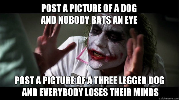 post a picture of a dog 
and nobody bats an eye post a picture of a three legged dog
 and everybody loses their minds  Joker Mind Loss