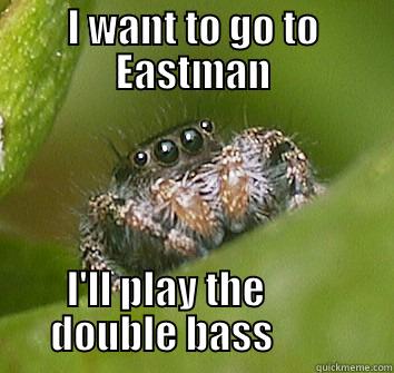 I WANT TO GO TO EASTMAN I'LL PLAY THE              DOUBLE BASS               Misunderstood Spider