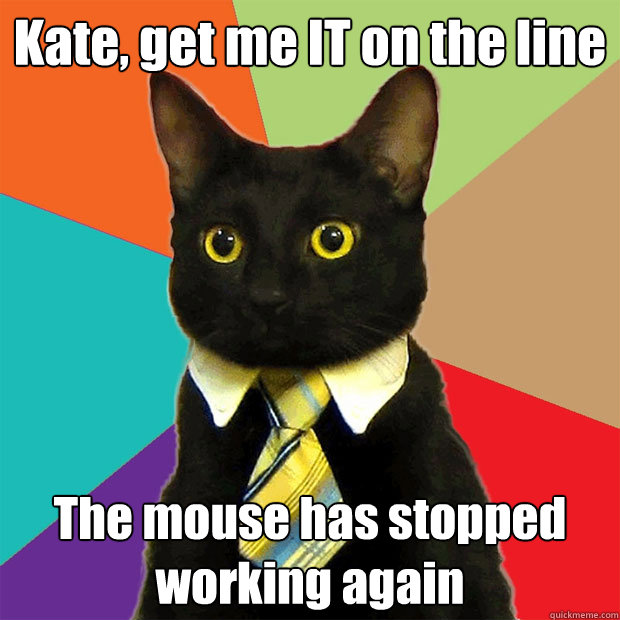 Kate, get me IT on the line The mouse has stopped working again  Business Cat