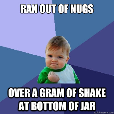 Ran out of nugs Over a gram of shake at bottom of jar  Success Kid