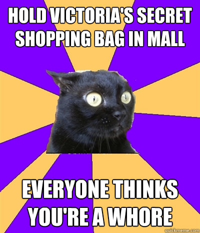 hold victoria's secret shopping bag in mall everyone thinks you're a whore  Anxiety Cat