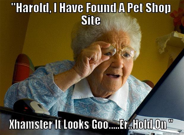 ''HAROLD, I HAVE FOUND A PET SHOP SITE XHAMSTER IT LOOKS GOO.....ER..HOLD ON '' Grandma finds the Internet