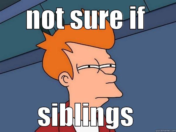 NOT SURE IF SIBLINGS Futurama Fry