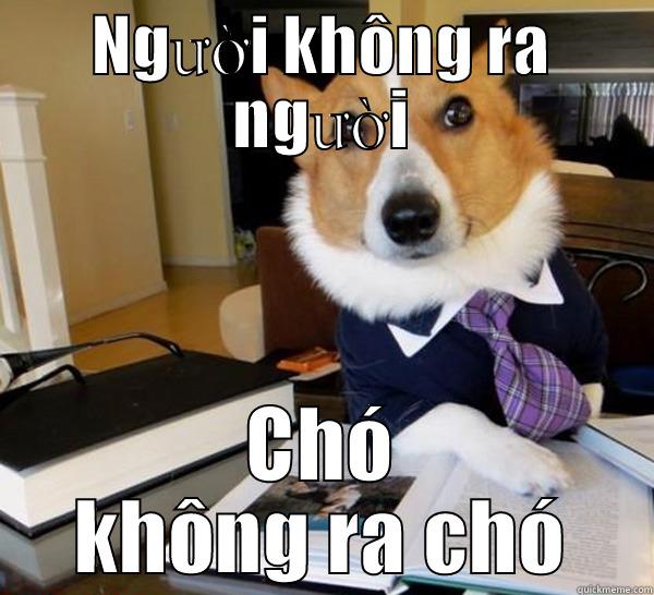 NGƯỜI KHÔNG RA NGƯỜI CHÓ KHÔNG RA CHÓ Lawyer Dog