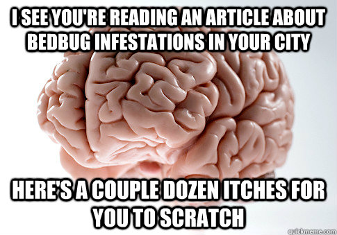 i see you're reading an article about bedbug infestations in your city here's a couple dozen itches for you to scratch - i see you're reading an article about bedbug infestations in your city here's a couple dozen itches for you to scratch  Scumbag Brain