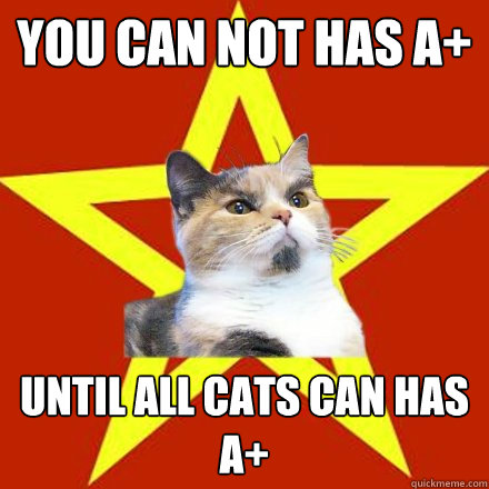 You can not has A+ Until all cats can has A+  Lenin Cat