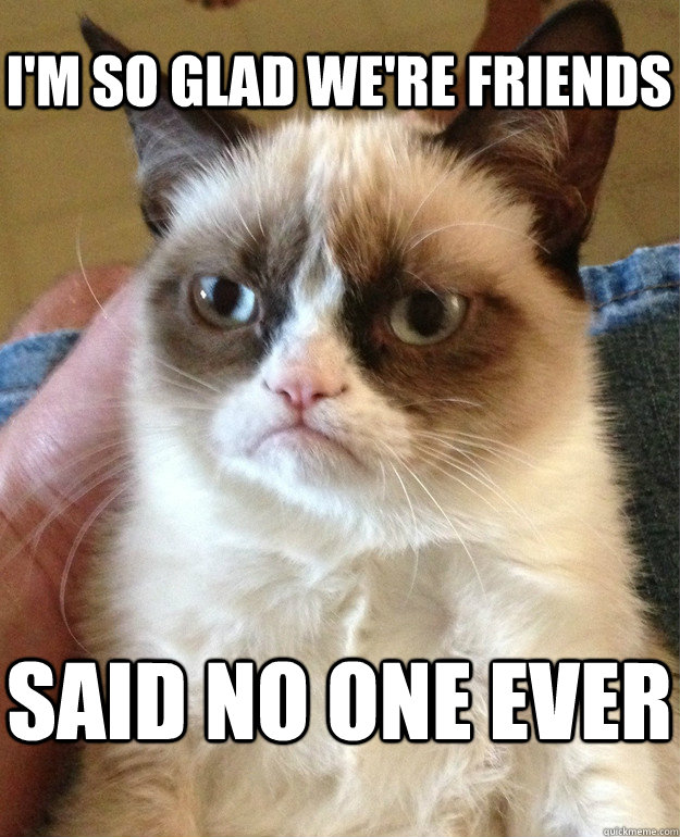 I'm so glad we're friends said no one ever  Grumpy Cat