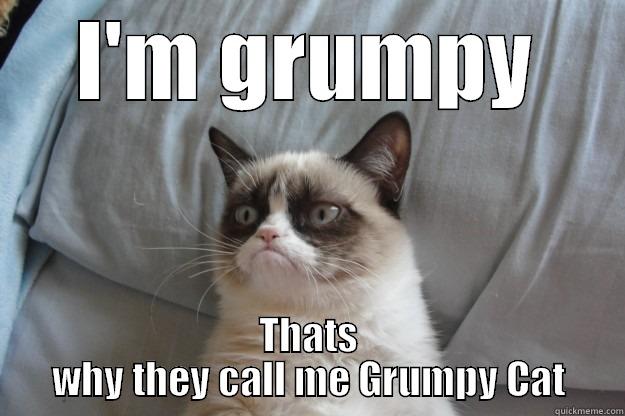 grumpy cat - I'M GRUMPY THATS WHY THEY CALL ME GRUMPY CAT Grumpy Cat