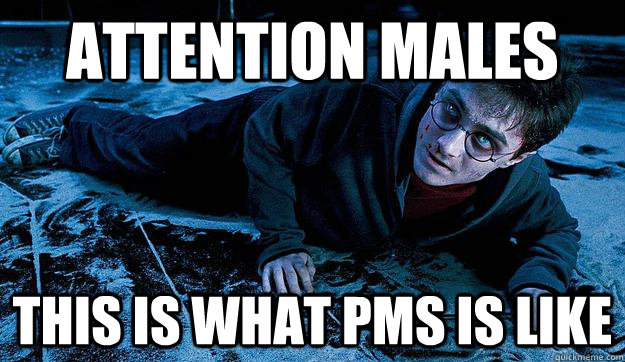 Attention Males This is what PMS is like  Harry Potter pms