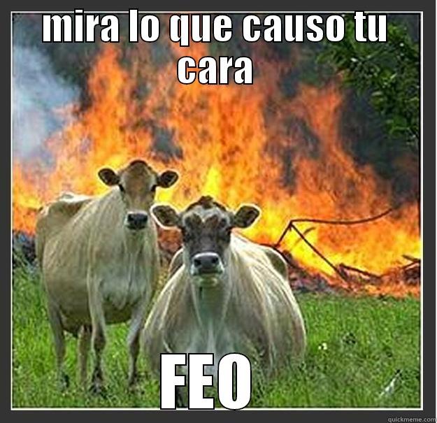 lo que causaste amigo - MIRA LO QUE CAUSO TU CARA FEO  Evil cows