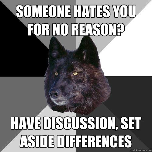 Someone hates you for no reason? Have discussion, set aside differences  Sanity Wolf