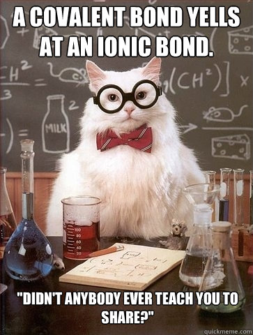 A covalent bond yells at an ionic bond. 